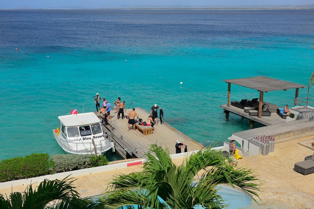 Belmar Oceanfront Apartments Bonaire Exterior foto