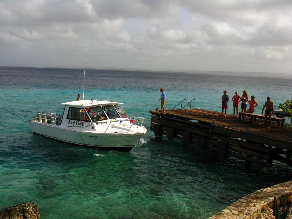 Belmar Oceanfront Apartments Bonaire Exterior foto