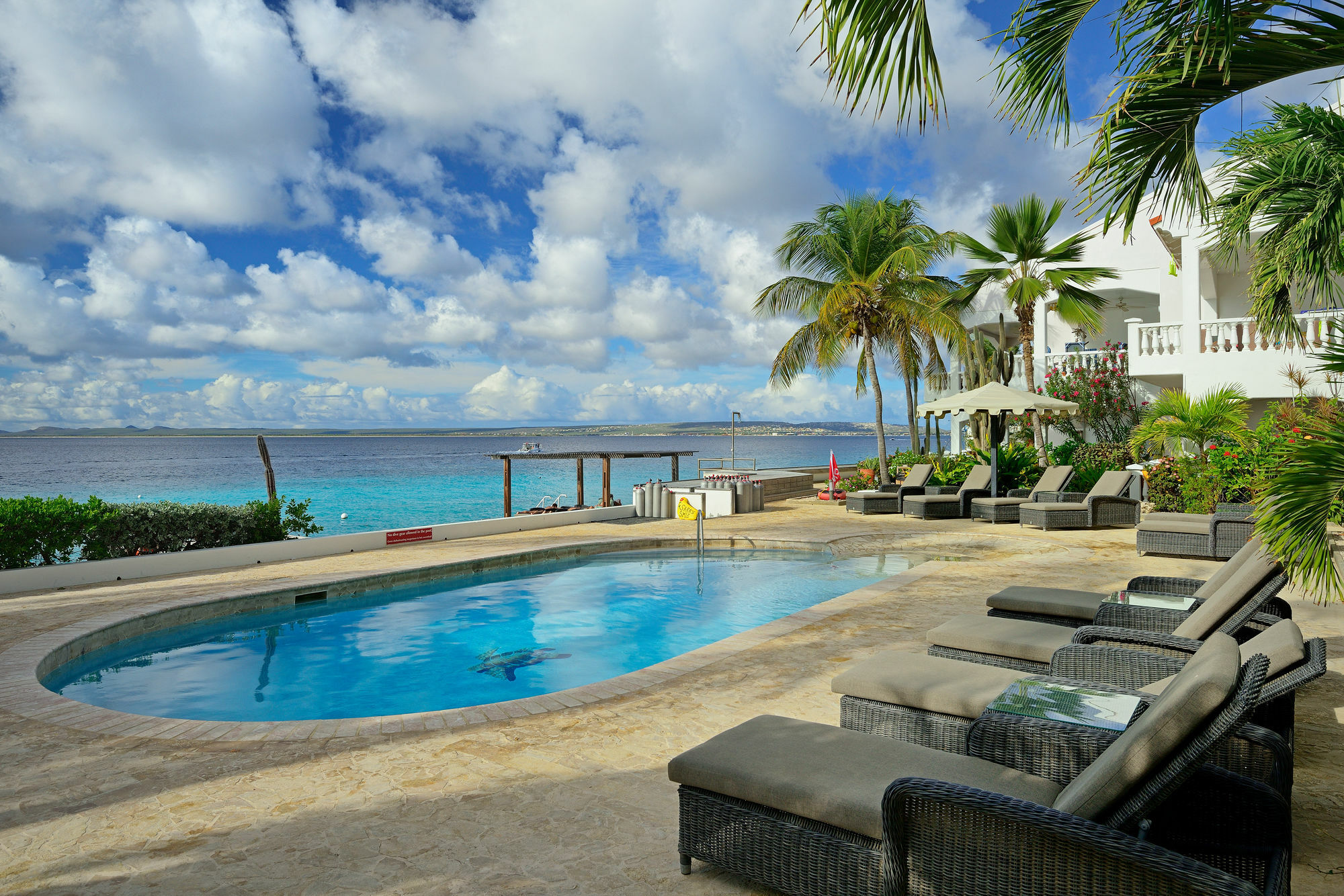 Belmar Oceanfront Apartments Bonaire Exterior foto